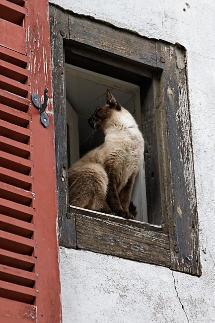 Bayonne-Avril 2012-093